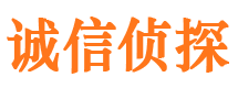 宁都侦探调查公司